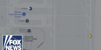 BREAKING: Pedestrian killed in Frontier flight collision