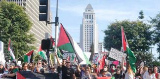 Hamas Rally Fallout Torches NY Race Protesters holding signs and flags in a public square.