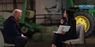 Exclusive interview with President Trump