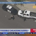 Freeway War Zone Erupts in L.A. K9 cop takes down carjacking suspect after SoCal police chase
