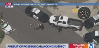 K9 cop takes down carjacking suspect after SoCal police chase