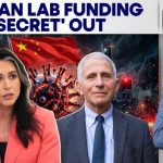 Tulsi Gabbard Targets Fauci Over COVID-Linked Research Funding | Firstpost Live | 4K