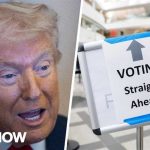 The Instagram Post That Brought Federal Agents To Her Door 'Fundamentally upside down!': Law Prof. on fed agents confronting poll worker