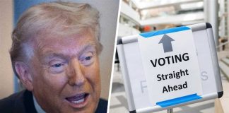 'Fundamentally upside down!': Law Prof. on fed agents confronting poll worker