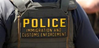 Tourist Dies After ICE Stop Man killed while fleeing ICE officers in Florida