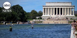 Missing Gash, Mega Price Tag President Trump claims vandals are responsible for Reflecting Pool problems
