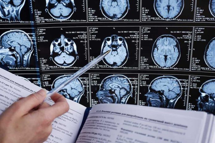 Person analyzing brain MRI images with a pen.