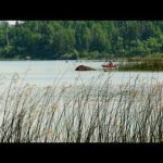 Walz Moves to Block Trump’s Minnesota Mining Revival Walz Moves to Block Trump’s Minnesota Mining Revival