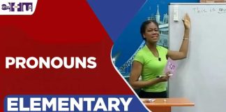 Parental Rights Showdown Hits Classrooms Pronouns | Let's Start English 148 Elementary Lesson 7