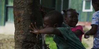 ‘Forced Labor’ Sugar May Be Flowing Back Into U.S. ‘Forced Labor’ Sugar May Be Flowing Back Into U.S.