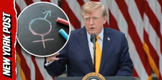 Trump Warns Public Schools: Telling Kids to Become Transgender Is ‘Child Abuse’