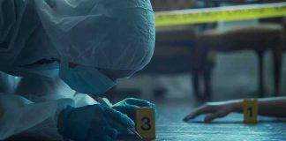 Mother and Two Transgender Biological Men Charged for Horrific Torture forensic investigator in protective suit examining crime scene markers