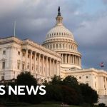 House hearing on birthright citizenship | full video
