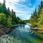 River flowing through a lush forest under a bright blue sky