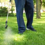 Parents Sound Alarm Over Rare Child Cancers Person spraying lawn with handheld garden sprayer