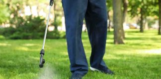 Person spraying lawn with handheld garden sprayer