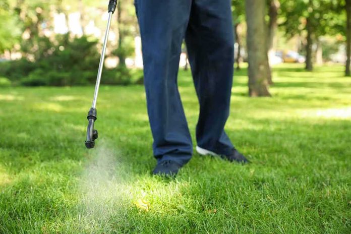 Person spraying lawn with handheld garden sprayer