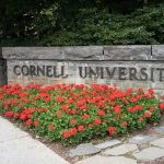 Cornell Faces a RECKONING Over Campus Culture Cornell University stone sign with red flowers